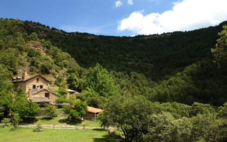 A wooded secluded location